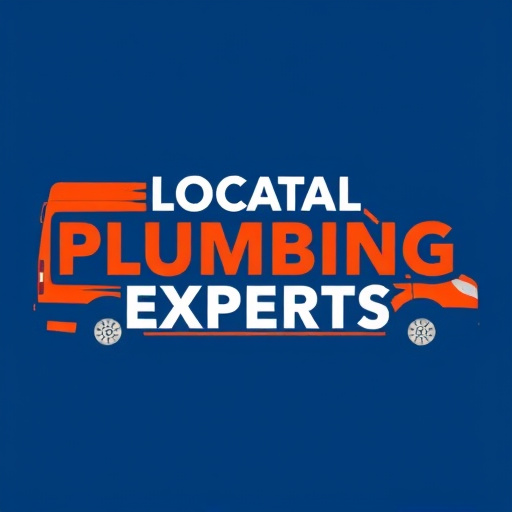 Local Plumbing Experts Arlington