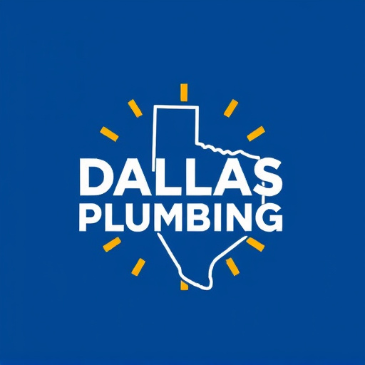 Top Dallas Plumber