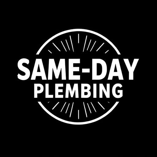 Arlington Same Day Plumber