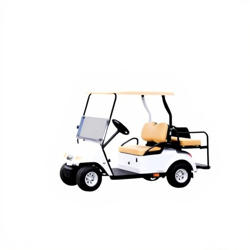 Dallas Golf Cart Rental