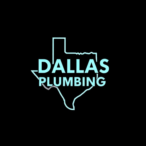 Dallas Local Plumbing Services