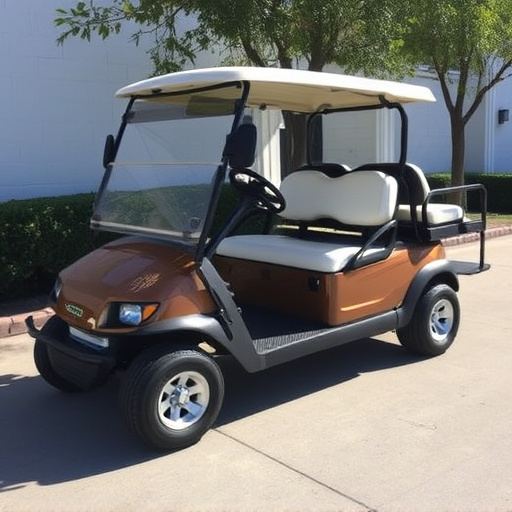 Rent Golf Car in Fort Worth