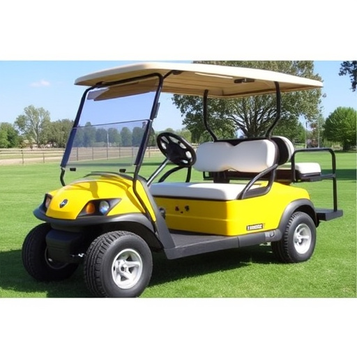 Rent Golf Carts in Fort Worth
