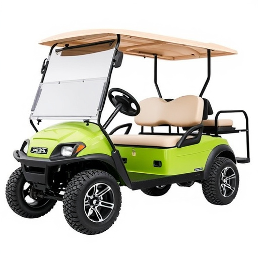 Affordable Golf Cart Rental Fort Worth