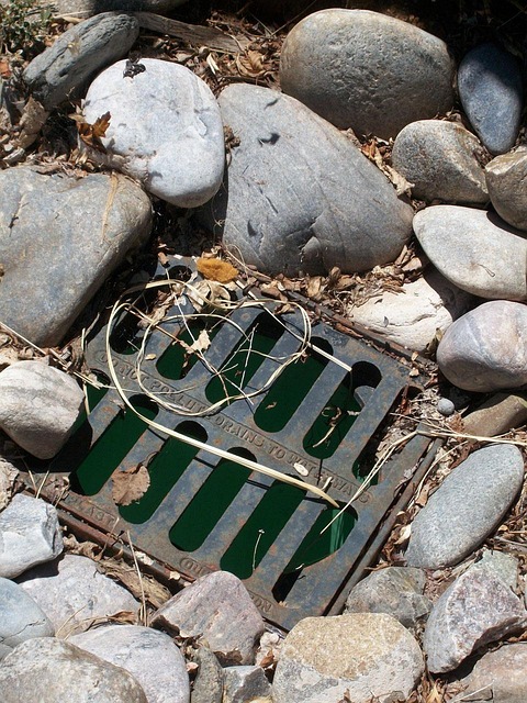 Arlington Drain Cleaning Services