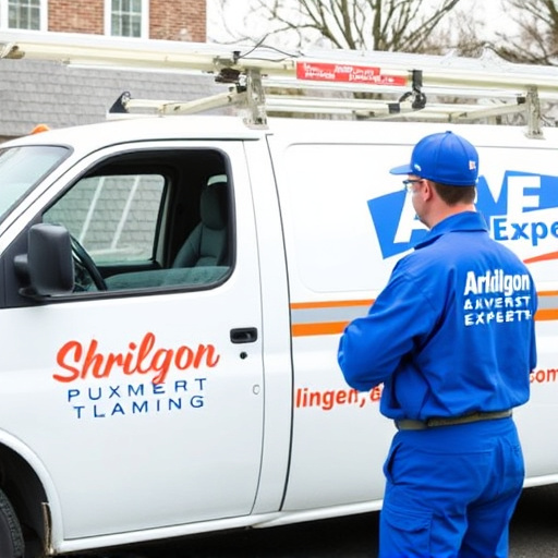 Arlington Expert Plumbing Professionals