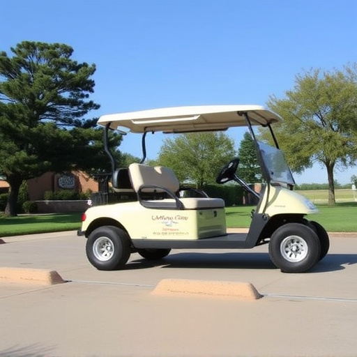 Dallas Golf Cart Rental