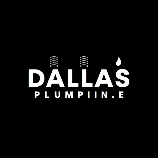 Dallas Local Plumbing Services