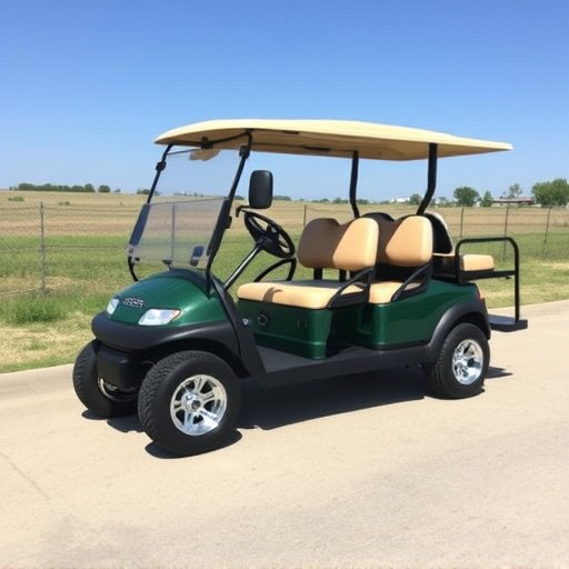 fort-worth-golf-cart-rental-640x480-71956991.jpeg