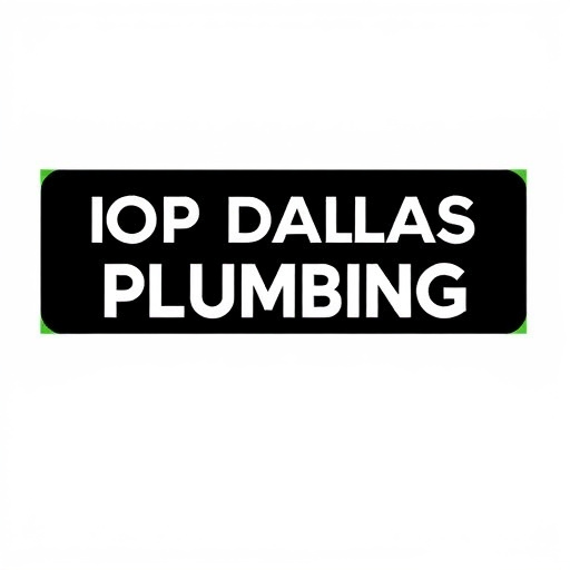 Top Dallas Plumber