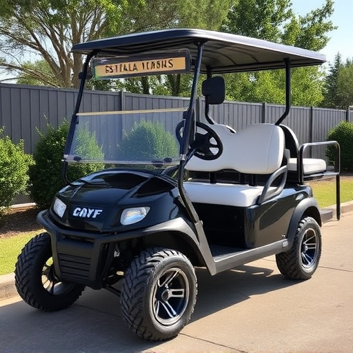 affordable-golf-cart-rental-fort-worth-640x480-86454224.jpeg
