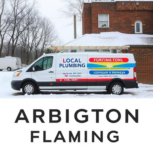 Arlington Plumbing Solutions: Quick, Reliable Repairs & Renovations