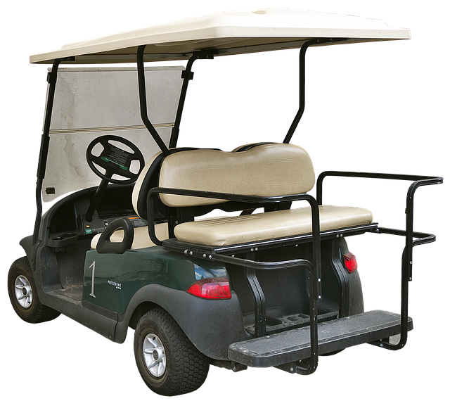 Electric Golf Carts for Sale