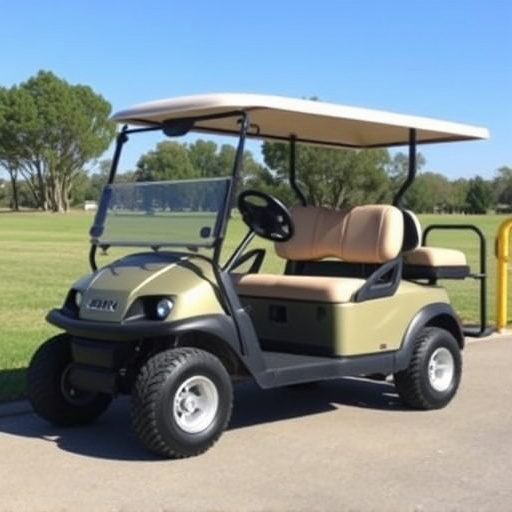 Golf Cart Hire Fort Worth