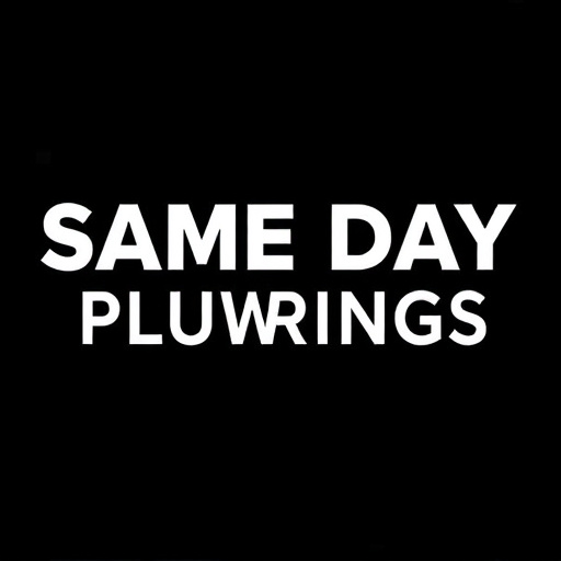 Same Day Dallas Plumbing Solutions
