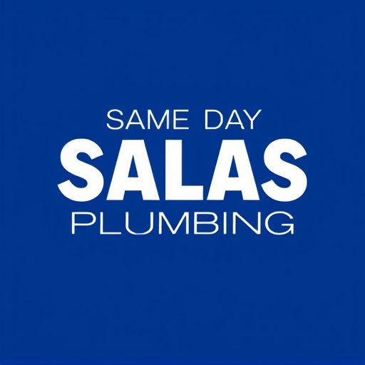 Same Day Dallas Plumbing Solutions