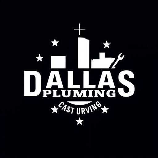 Top Dallas Plumber